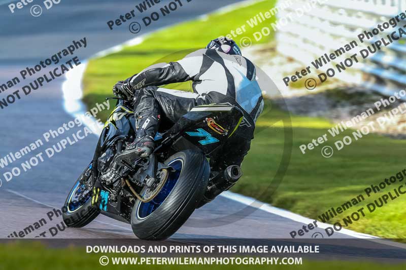 PJ Motorsport Photography 2020;anglesey;brands hatch;cadwell park;croft;donington park;enduro digital images;event digital images;eventdigitalimages;mallory;no limits;oulton park;peter wileman photography;racing digital images;silverstone;snetterton;trackday digital images;trackday photos;vmcc banbury run;welsh 2 day enduro